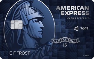 Blue Cash Preferred® Card  American Express