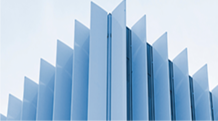 Large and Global Company image
