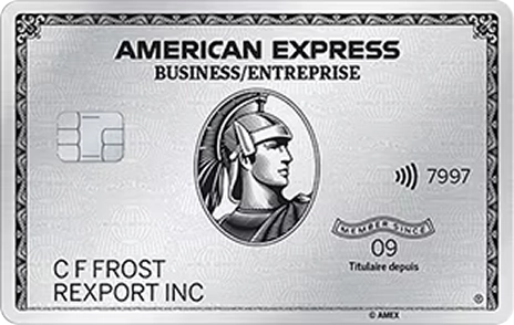 platinum card art