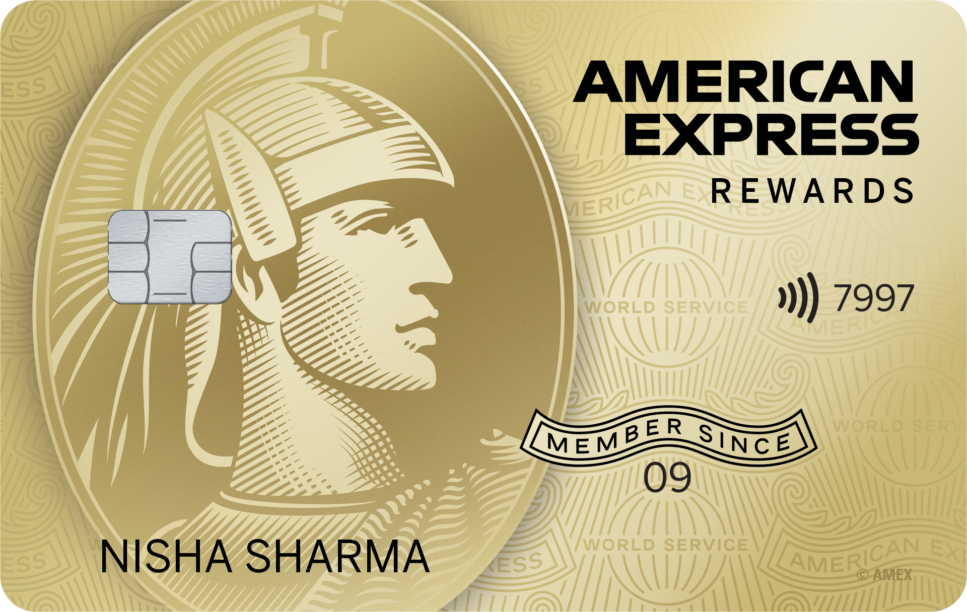 Membership Rewards Card | Membership Rewards | Amex IN