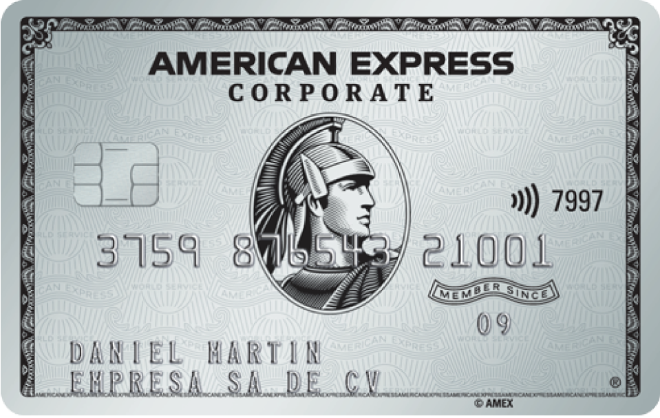 American Express<sup>®</sup> Corporate Platinum Card