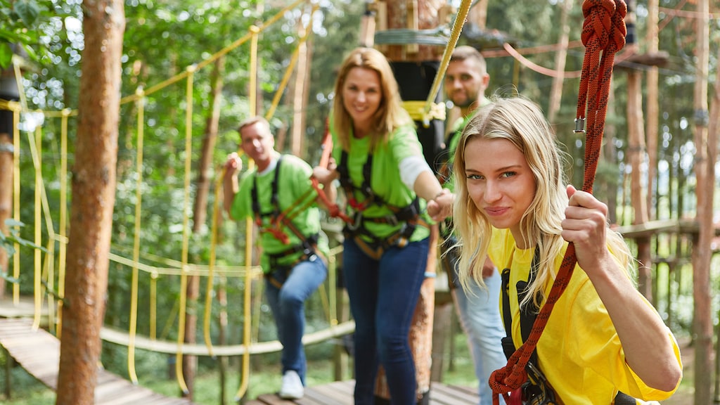  Gruppe von vier jungen Menschen steht auf einem Gerüst in einem Kletterpark im Wald.