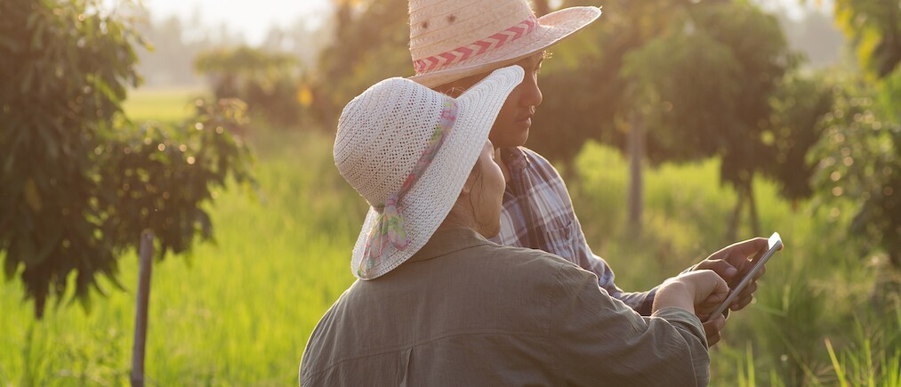 Asian young smart farmer couple using digital tablet monitoring and  managing organic farm in sunset light trees background. Modern technology smart farming agriculture and sustainability concepts.