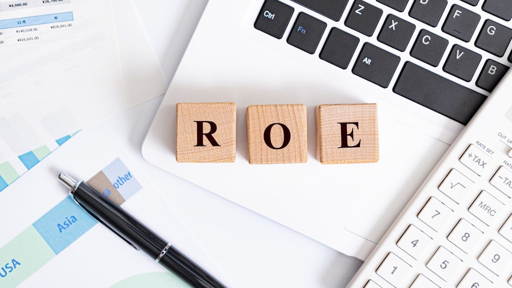 ROE（自己資本利益率）とは？評価の目安や計算式、ROAとの違い、高める方法を解説