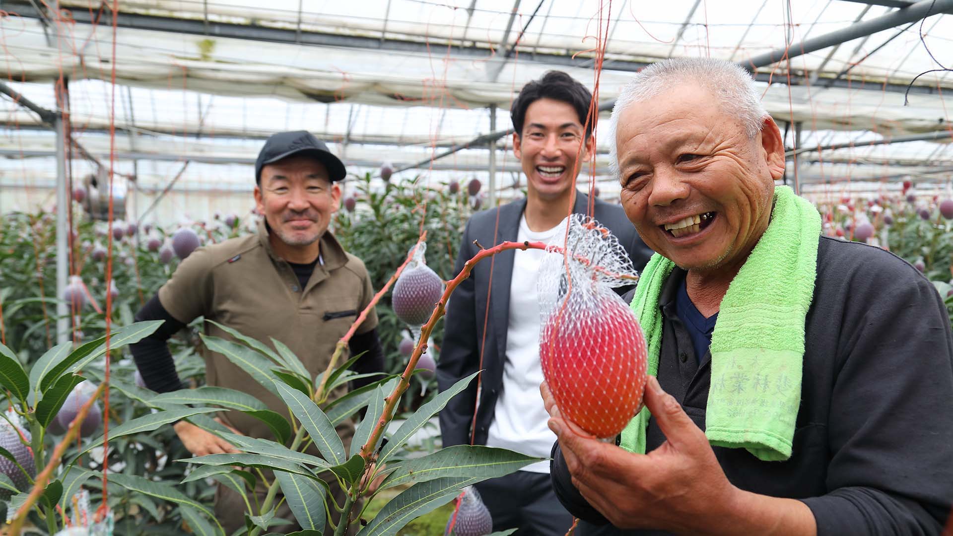 二足のわらじ様専用 何気なし