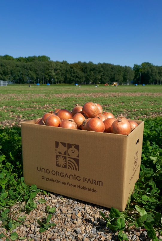 炒めもの、煮込み料理、スープやサラダなど、加熱しても生でも美味しいと評判の「UNO ORGANIC FARM」の玉ねぎ。自社オンラインショップ からも購入可能