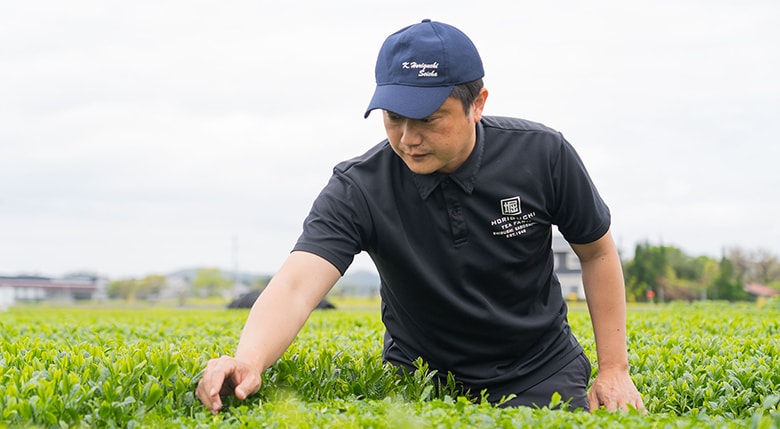 鹿児島堀口製茶有限会社 代表取締役／株式会社和香園 代表取締役社長 堀口大輔氏