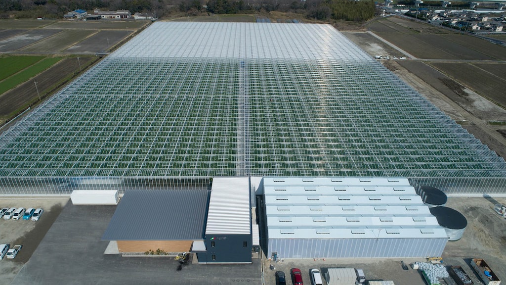 【株式会社浅井農園】研究開発型農業カンパニーが創る新しい農業