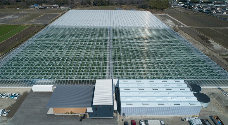 【株式会社浅井農園】研究開発型農業カンパニーが創る新しい農業