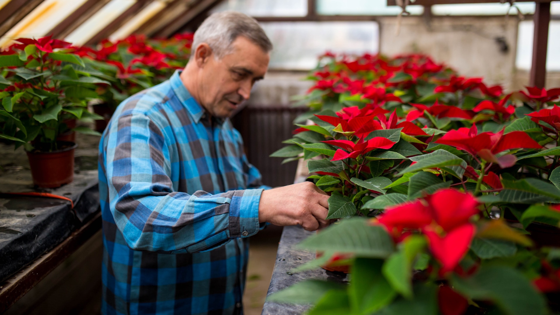 8 Ways to Capitalize on the Holidays Without Burning Out