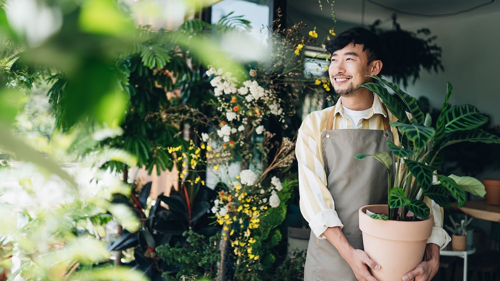 Confident young Asian male florist, owner of small business flower shop. Holding potted plant outside his workplace. He is looking away with smile. Enjoying his job to be with the flowers. Small business concept
