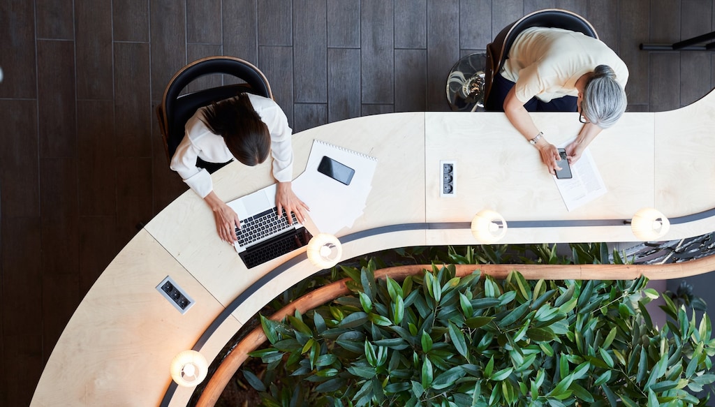 employees working shot from above