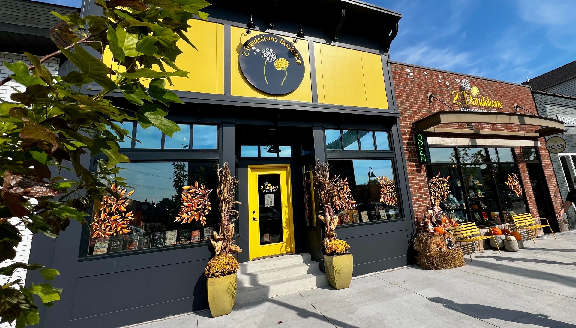 Jeri Kay Thomas and Kelly Blazo, 2 Dandelions Bookshop, Brighton, MI