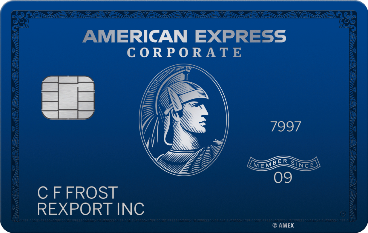 American Express Platinum Card