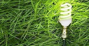 Going Green to Save Green: How Energy Efficiency Can Help Your Bottom Line