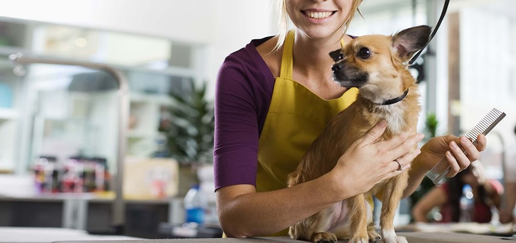 Are You Ready For The Pet Businesses Of The Future?