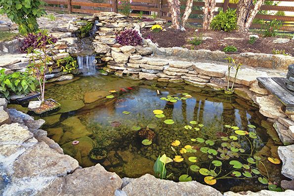Georgia-based company, Graystone Industries, Inc., distributes backyard ponds to about 12 backyard pond manufacturers