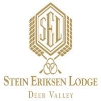 Stein
